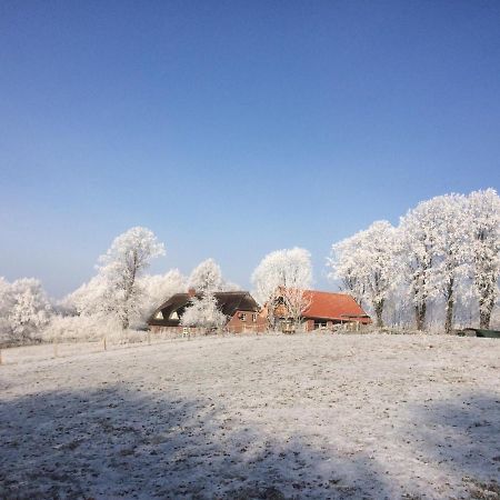 Hoheluft Am Wittensee Apt 3 Gross Wittensee Zewnętrze zdjęcie