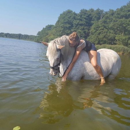 Hoheluft Am Wittensee Apt 3 Gross Wittensee Zewnętrze zdjęcie