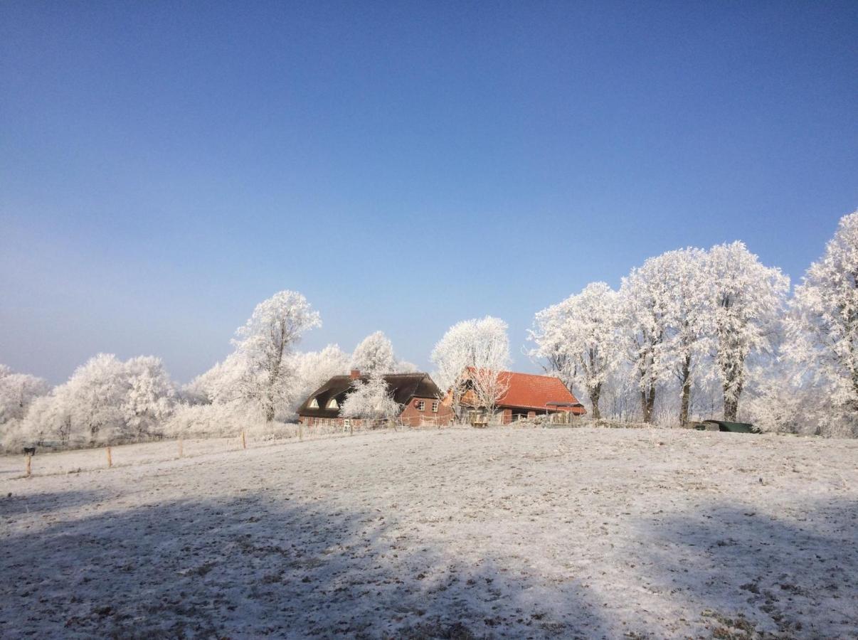 Hoheluft Am Wittensee Apt 3 Gross Wittensee Zewnętrze zdjęcie